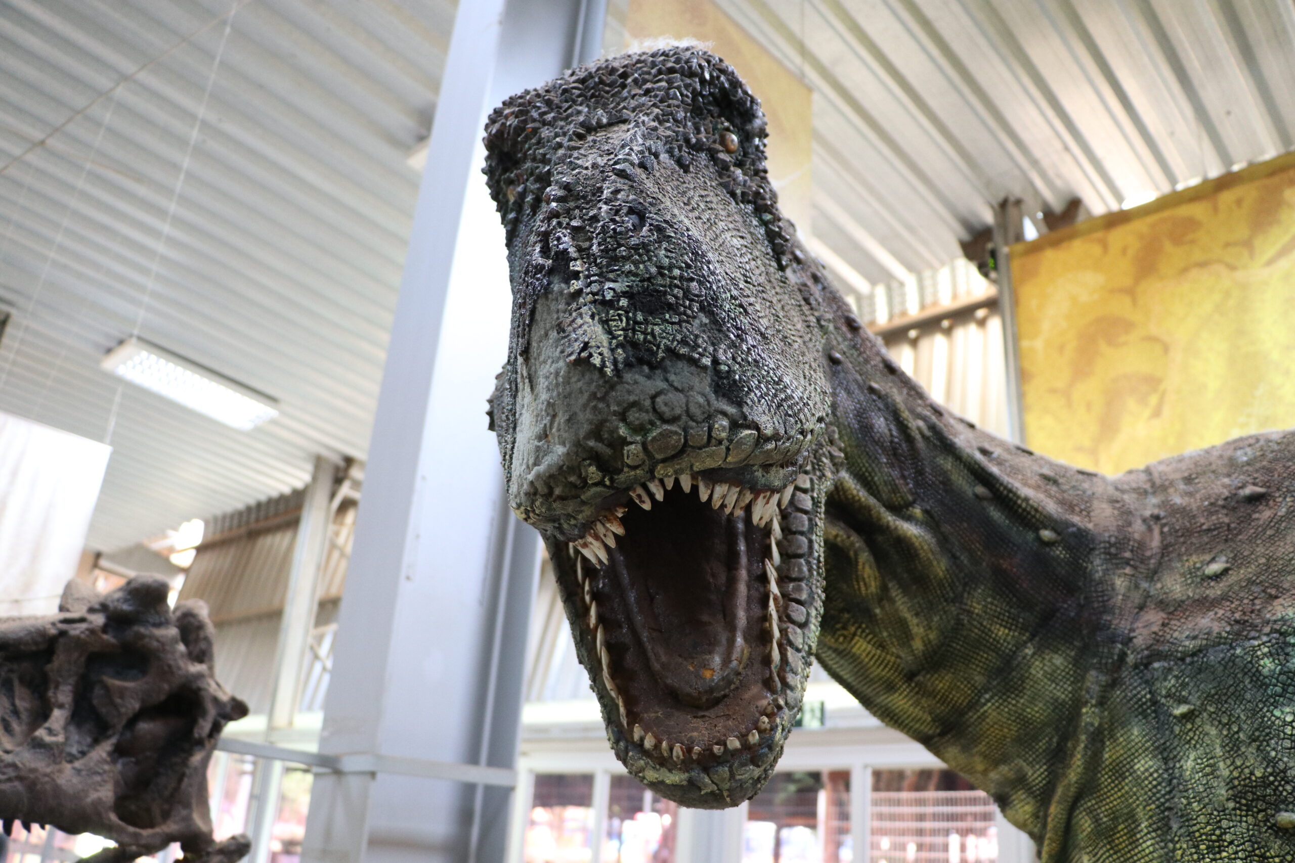 Imagem ilustrativa da notícia Geoparque Uberaba: da terra dos dinossauros ao exemplo de desenvolvimento sustentável