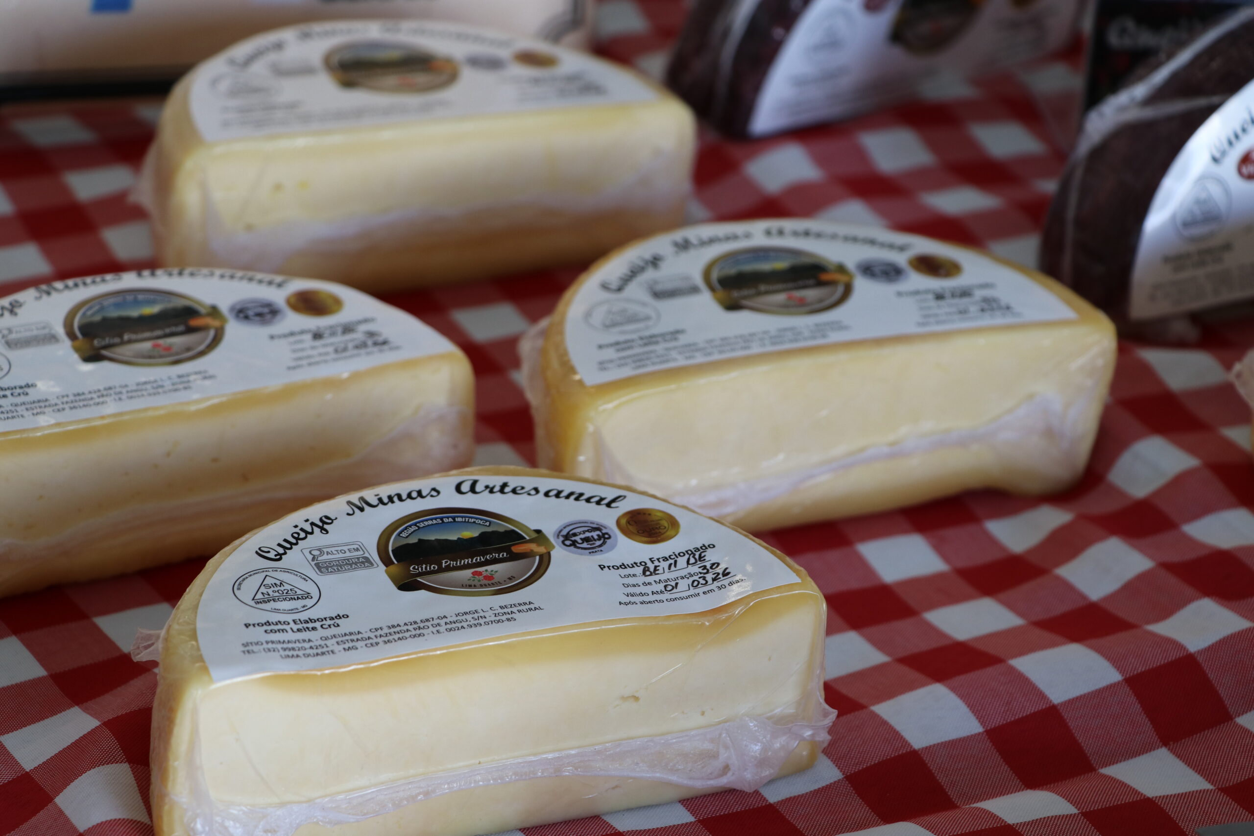 Imagem ilustrativa da notícia Queijos Artesanais: ciência impulsiona patrimônio cultural mineiro
