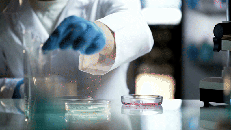 Prorrogado prazo de submissão para a Demanda Universal 